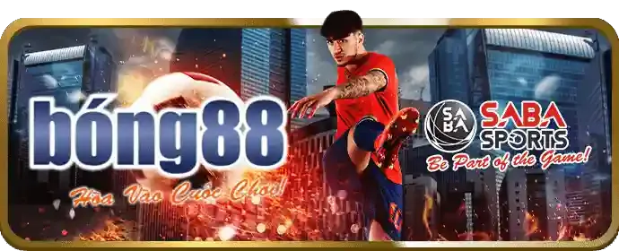 Minh họa các kênh liên hệ hỗ trợ của 188cm code